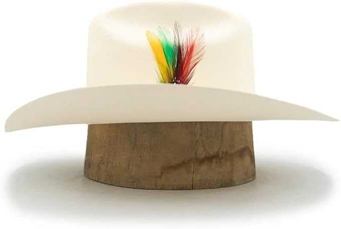Wide-brimmed hat with a colorful feather on a white background