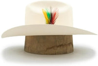 Wide-brimmed hat with a colorful feather on a white background