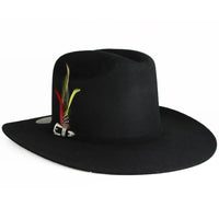 Silverton Men 200X Estilo Carin Leon con Plumas Western Cowboy Felt Hat - Black