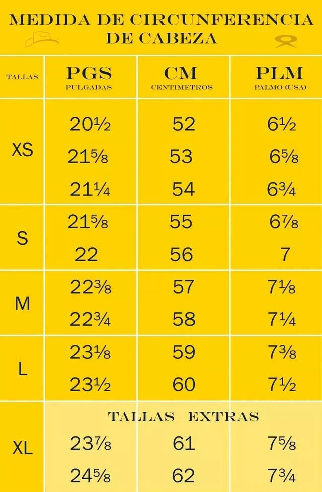 100X Joan Sebastian Style Western Cowboy Felt Hat - Silverbelly