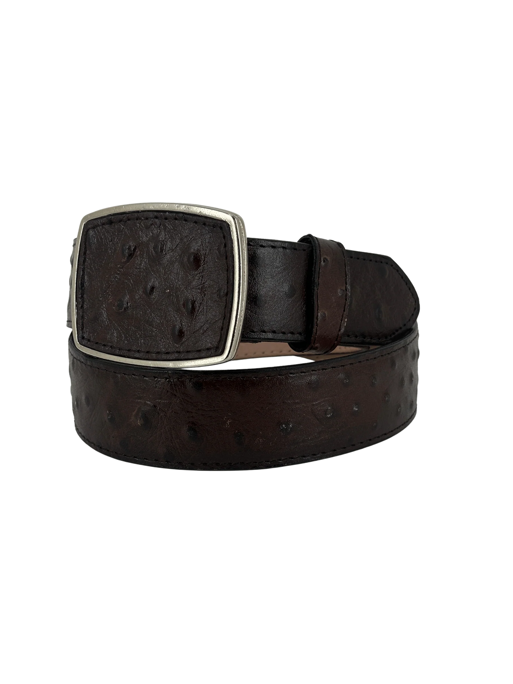 Full Quill Ostrich Skin Print Western Belt with Removable Buckle - Brown