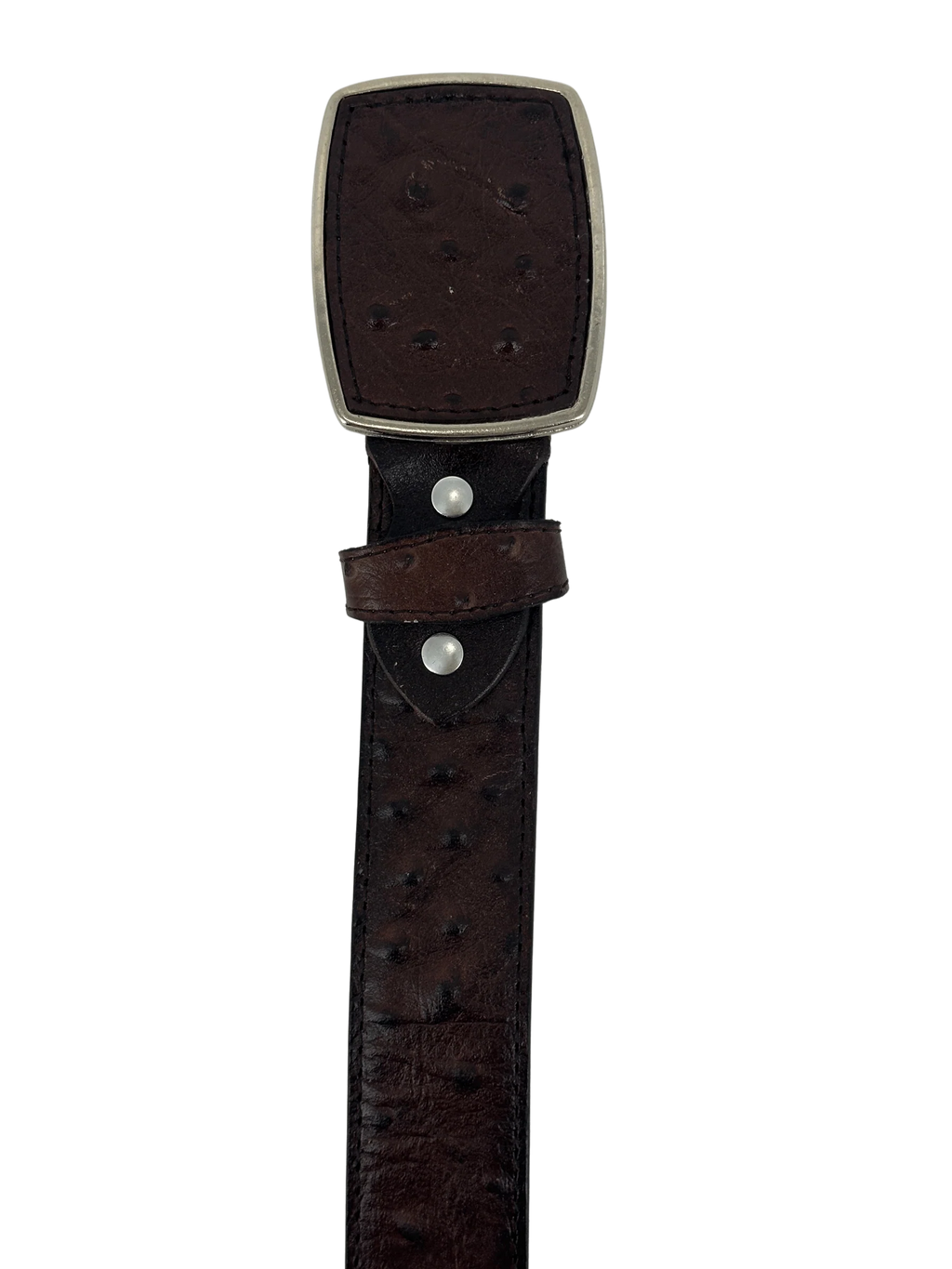 Full Quill Ostrich Skin Print Western Belt with Removable Buckle - Brown