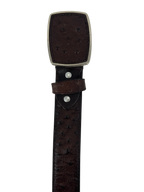 Full Quill Ostrich Skin Print Western Belt with Removable Buckle - Brown