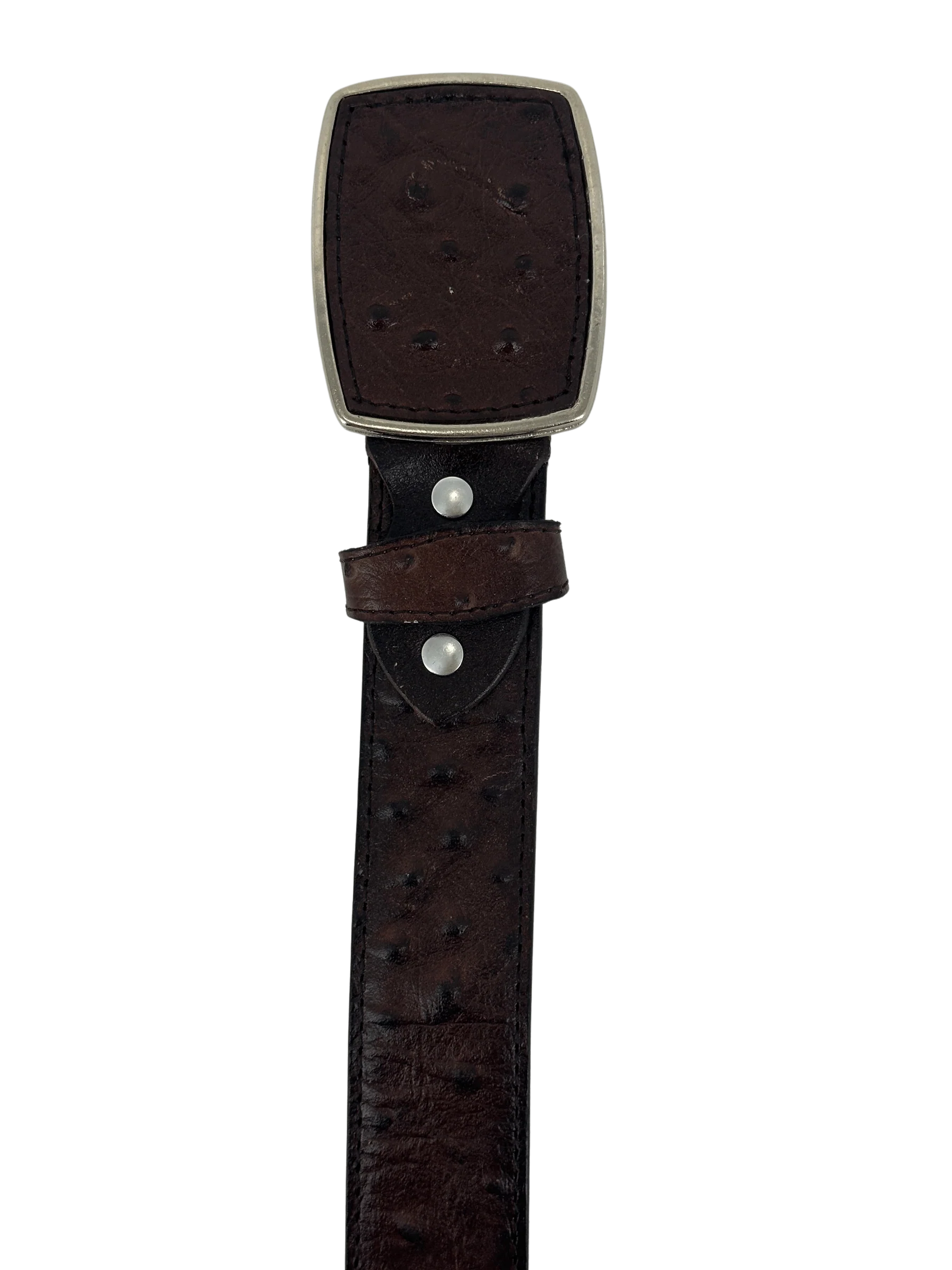 Full Quill Ostrich Skin Print Western Belt with Removable Buckle - Brown