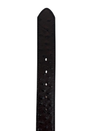 Full Quill Ostrich Skin Print Western Belt with Removable Buckle - Brown