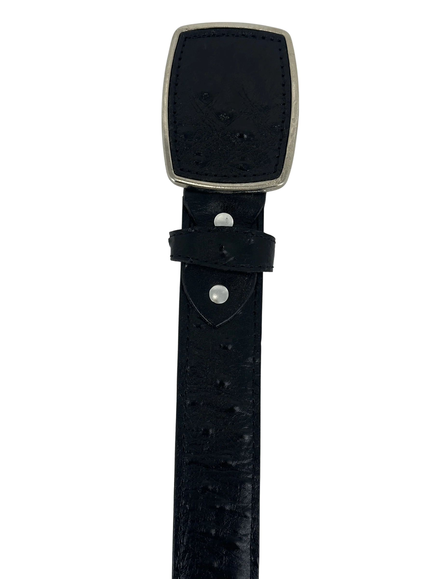 Full Quill Ostrich Skin Print Western Belt with Removable Buckle - Black