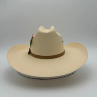Sombrero Tombstone 15X Mustang Style Western Cowboy Straw Hat