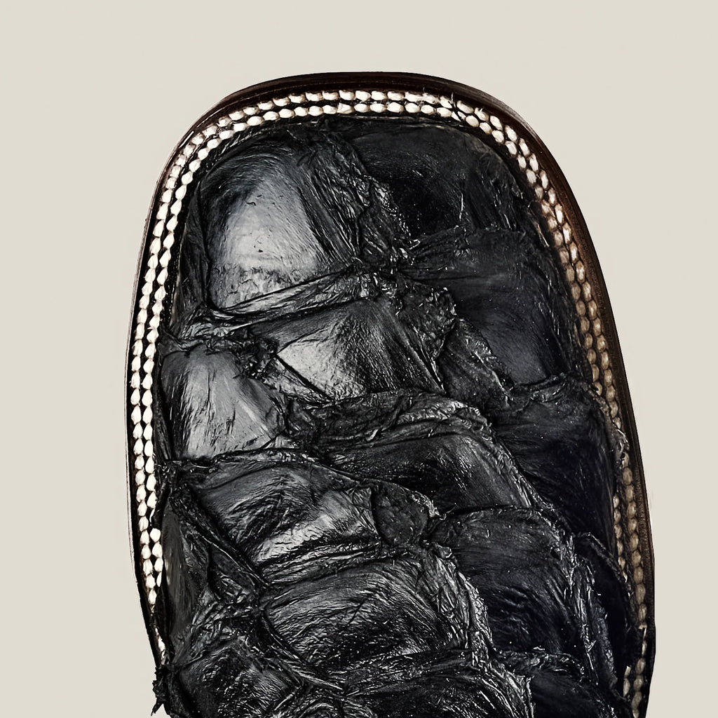 Close-up of a mummified cat in a wooden coffin on a beige background