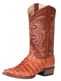 El General El Señor de los Cielos Cowboy Boot–Caiman–Cognac 40841 - OriginalWestern.com