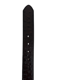 Full Quill Ostrich Skin Print Western Belt with Removable Buckle - Brown - OriginalWestern.com