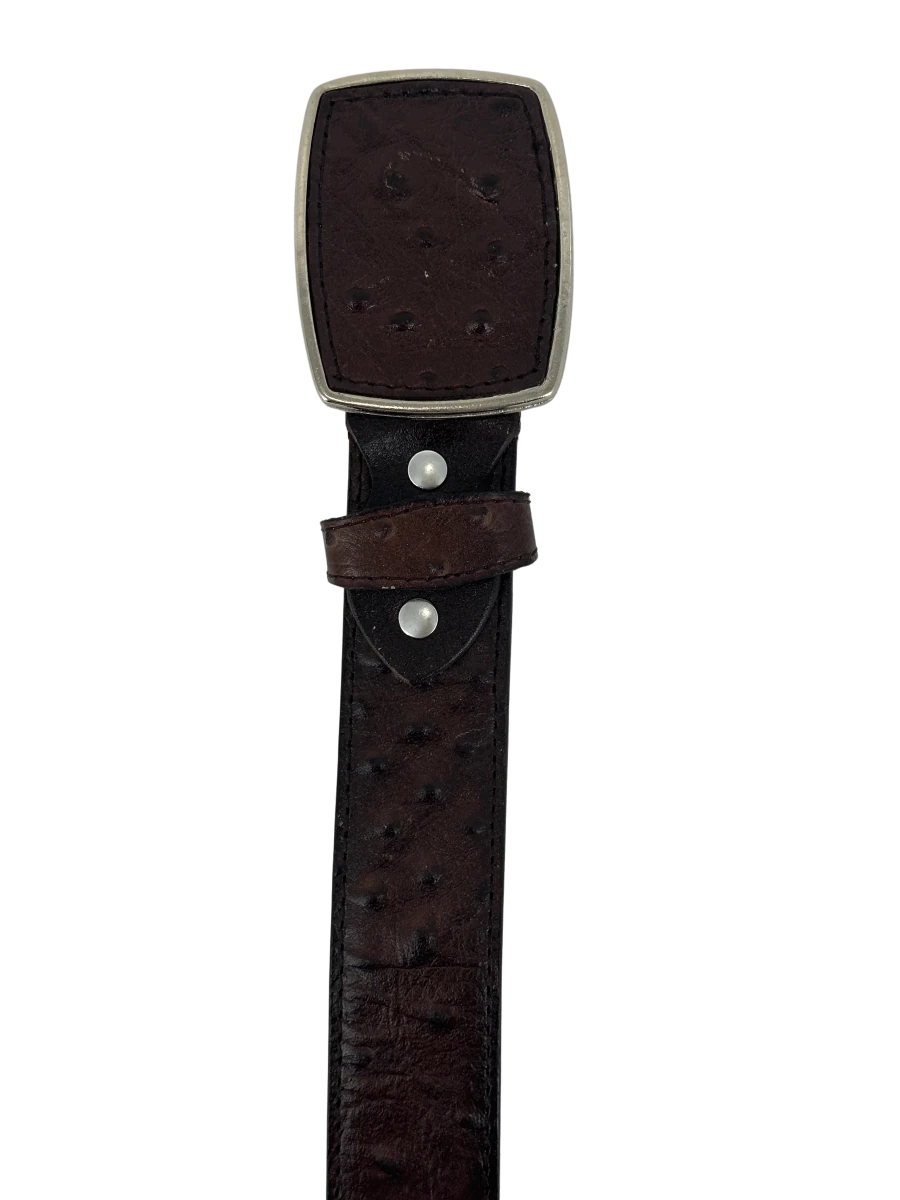Full Quill Ostrich Skin Print Western Belt with Removable Buckle - Brown - OriginalWestern.com