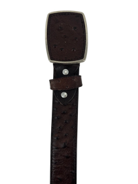 Full Quill Ostrich Skin Print Western Belt with Removable Buckle - Brown - OriginalWestern.com