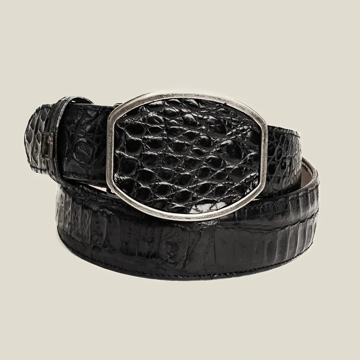 Genuine Exotic Caiman Alligator Skin Cowboy Belt with Removable Buckle - Black - OriginalWestern.com