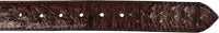 Genuine Exotic Full Quill Ostrich Skin Cowboy Belt with Removable Buckle - Brown - OriginalWestern.com