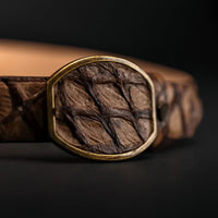 Genuine Pirarucu Monster Fish Skin Western Belt with Removable Buckle - Oryx - OriginalWestern.com