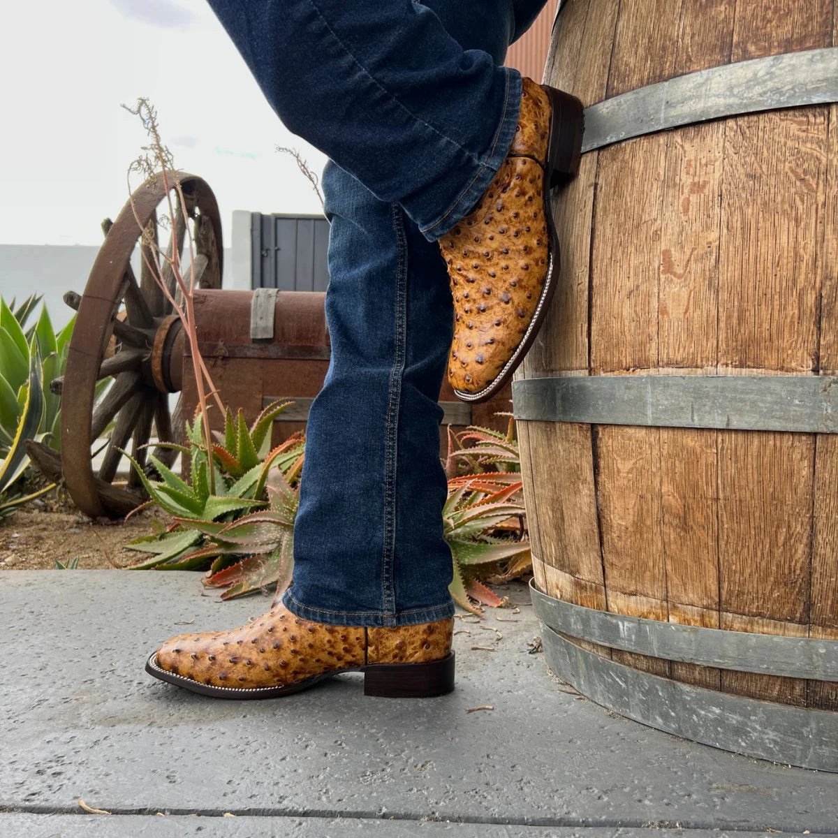 Joe Boots Men”s Ostrich Leather Square Toe Cowboy Boots–Buttercup - OriginalWestern.com