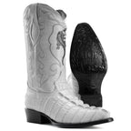 Men’s Joe Boots Caiman Print J - Toe Boots - Winter White - OriginalWestern.com
