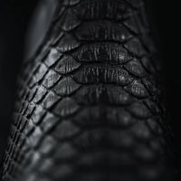 Rodeo Cartie Men's Gala Python Oval Toe Roper Boots with Zipper – Black - OriginalWestern.com