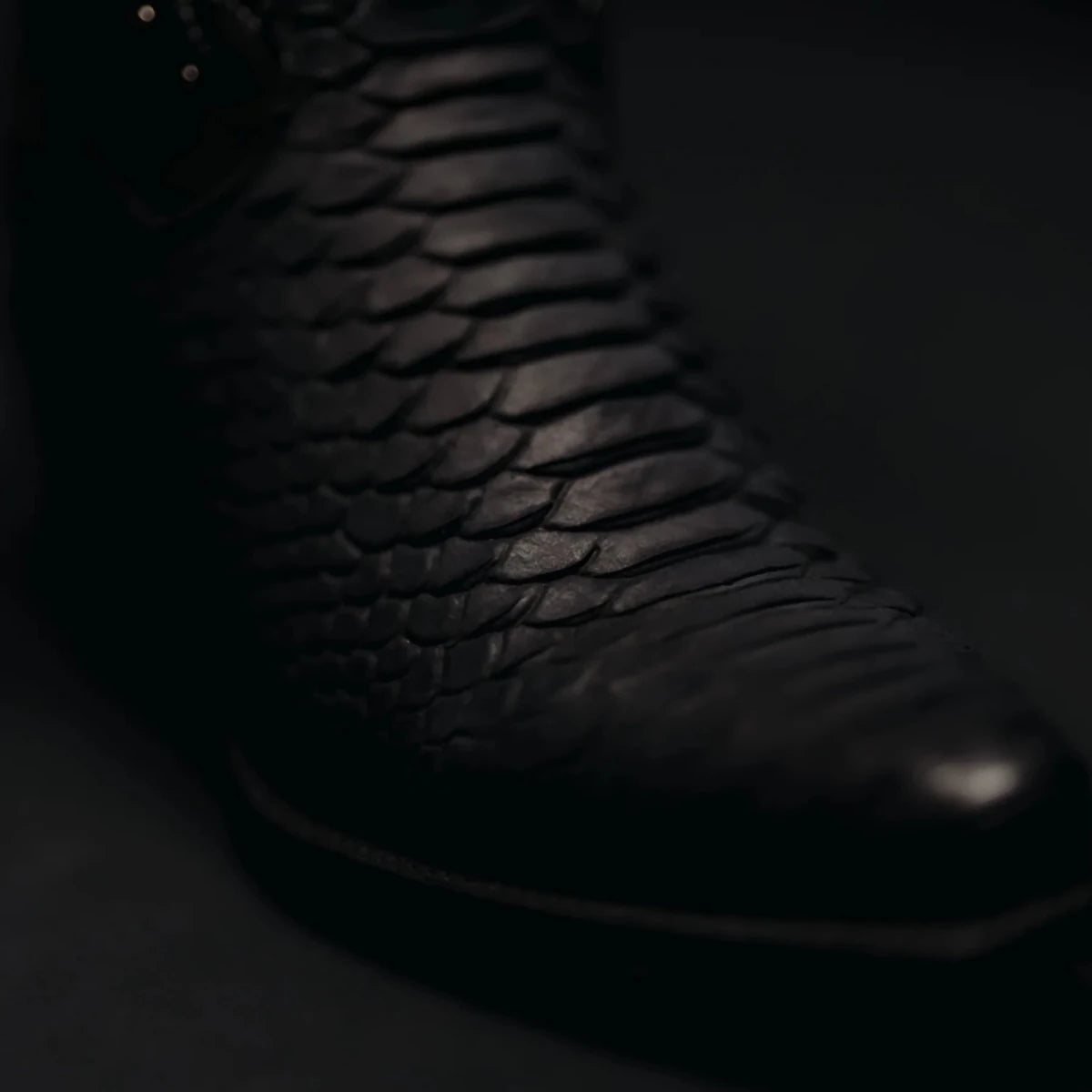 Rodeo Cartie Women´s Black Window Phyton Tribute Snip Toe Boots–Midnight - OriginalWestern.com