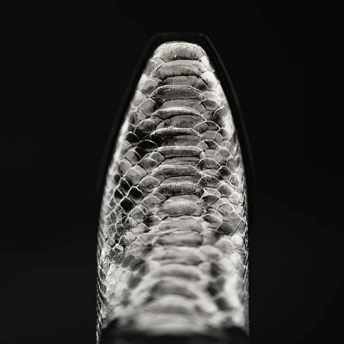 Rodeo Cartie Women´s Black Window Phyton Tribute Snip Toe Boots–Natural - OriginalWestern.com