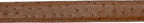 Genuine Exotic Full Quill Ostrich Skin Cowboy Belt with Removable Buckle - Cognac