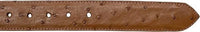 Genuine Exotic Full Quill Ostrich Skin Cowboy Belt with Removable Buckle - Cognac