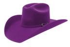 Tombstone 20X Roper Style Western Cowboy Fur Felt Hat - Purple