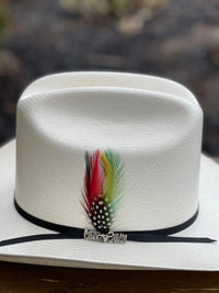 Cuernos Chuecos 100X Durango Style Western Cowboy Shantung Straw Hat