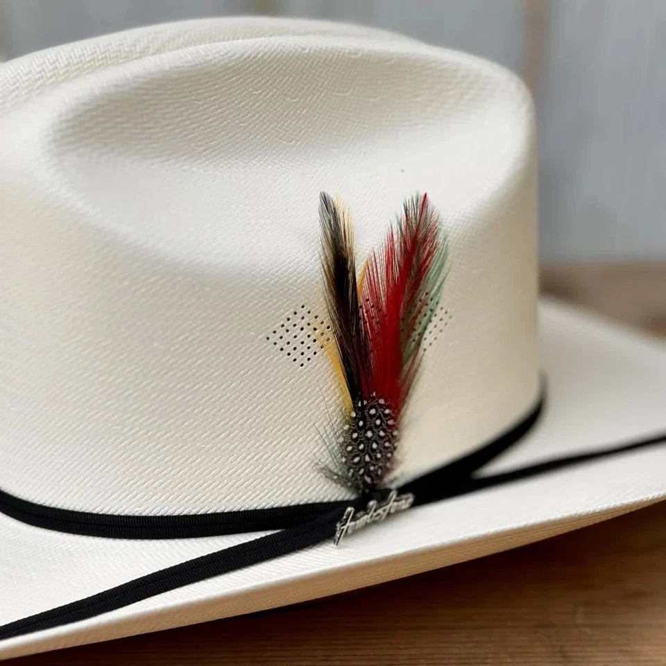 Tombstone 100X Sinaloa Chaparral Style Western Cowboy Shantung Straw Hat