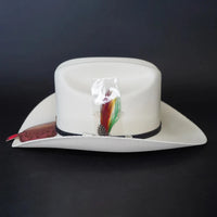 Men's Tombstone 1000X Carin Leon Style Western Cowboy Straw Hat